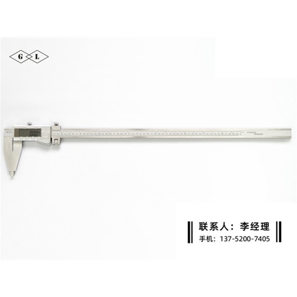 Ⅳ型数显卡尺0-600mm