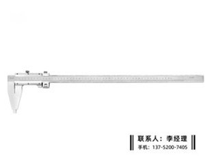 Ⅳ型游标卡尺0-500mm