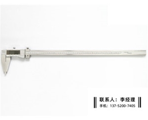 Ⅳ型数显卡尺0-500mm