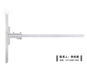超长桥深度卡尺0-500×450mm