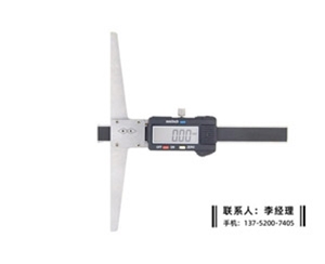 漩口测量数显卡尺0-50mm