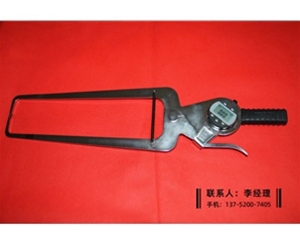 新型数显外卡规0-50×300mm