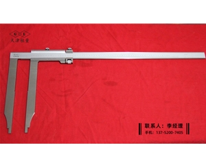 长爪卡尺0-600×300mm(尺身32mm)