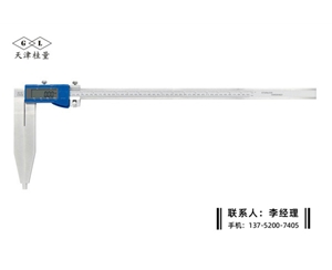 加长爪数显卡尺0-500×200mm