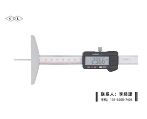 细杆数显深度卡尺0-100mm
