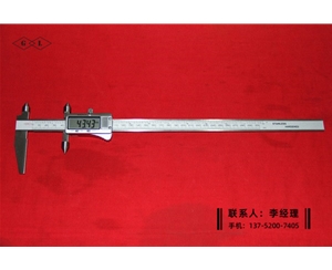 中心距-边心距数显卡尺10-300mm