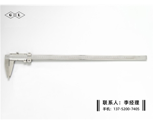 Ⅳ型游标卡尺0-600mm