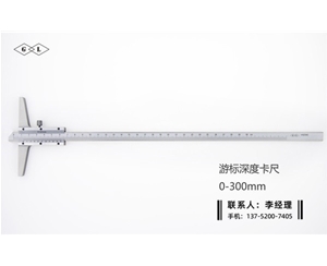 深度游标卡尺0-300mm