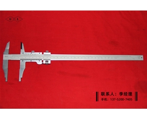 公英制游标卡尺0-300mmB
