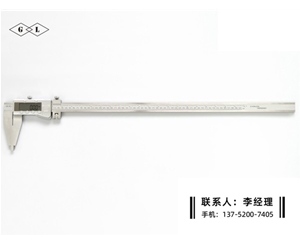 Ⅳ型数显卡尺0-600mm