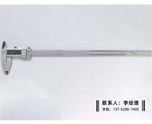 双刀头数显卡尺0-500mm