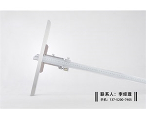 加长桥深度卡尺0-500mm