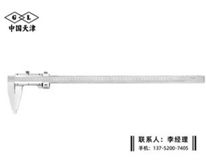 Ⅳ型游标卡尺0-500mm