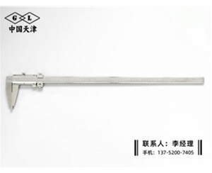 Ⅳ型游标卡尺0-600mm